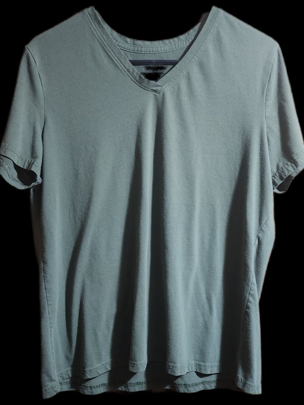 Time and Tru Sea Turtle Green V-Neck T-Shirt Size: Women's Plus XL (16-18)